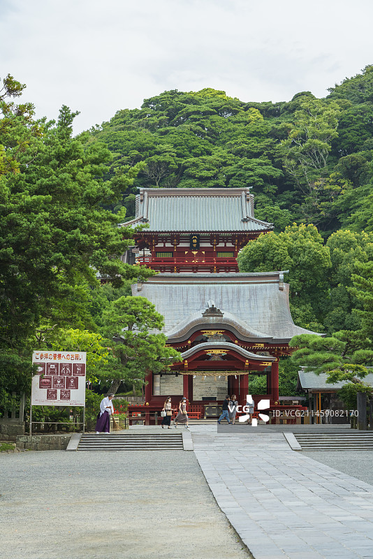 日本鹤冈八幡宫，神奈川县镰仓市图片素材