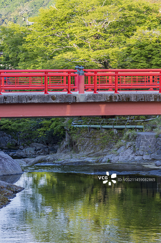 修善寺温泉，户月桥在新鲜绿色中闪耀，日本静冈县伊豆市修善寺图片素材