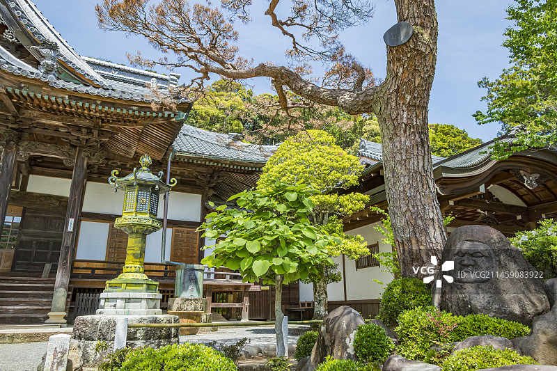 日本静冈县伊豆修善寺主殿和独特的达摩地藏图片素材