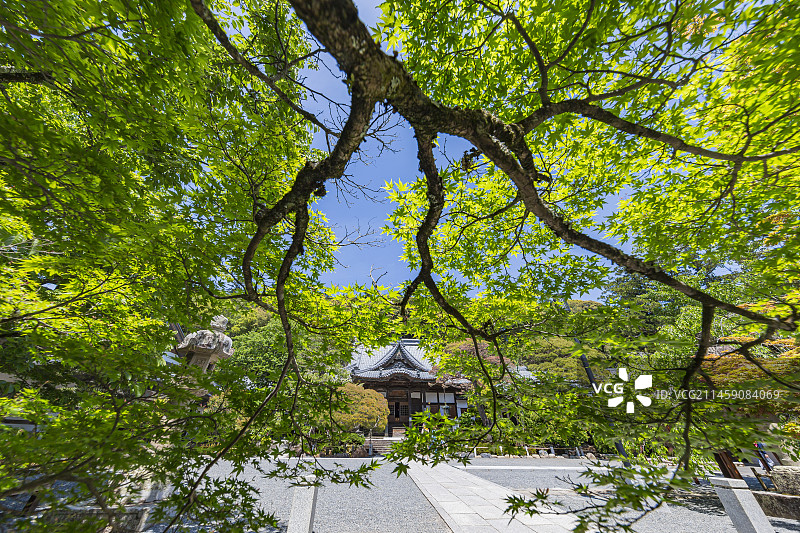 日本静冈县伊豆市修善寺旅游景点图片素材