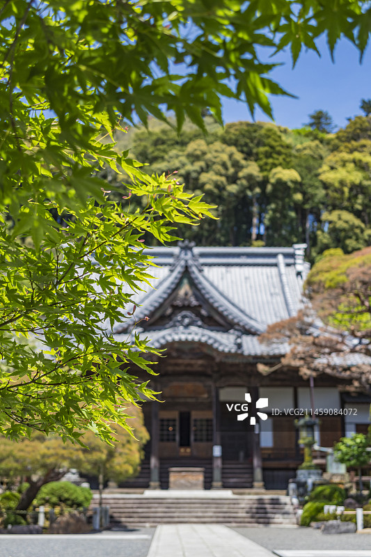 日本静冈县伊豆市修善寺旅游景点图片素材