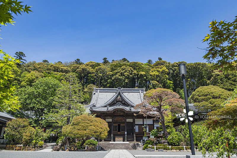 日本静冈县伊豆修善寺旅游景点：修善寺主殿和蓝天图片素材