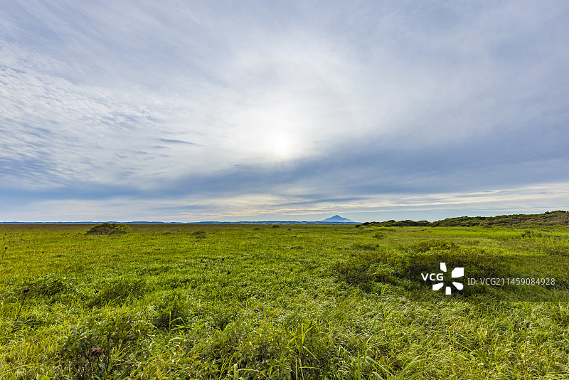 北海道天盐郡的萨罗别茨原始花园和利尻富士山图片素材