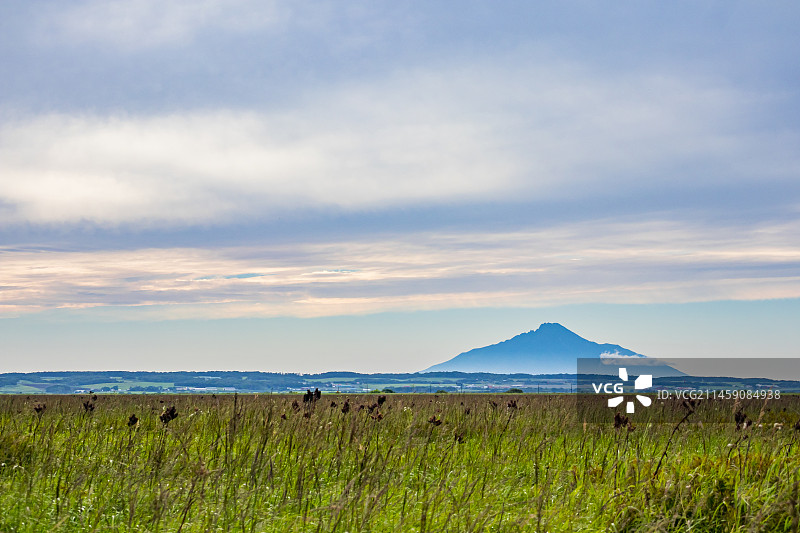 北海道天盐郡的萨罗别茨原始花园和利尻富士山图片素材