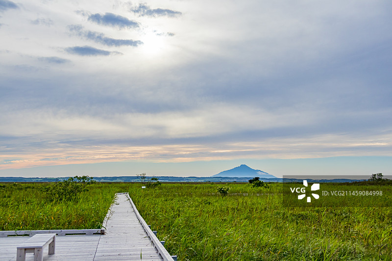 从北海道猿払原生花园木path眺望利尻富士山，日本北海道天盐郡丰乡町图片素材