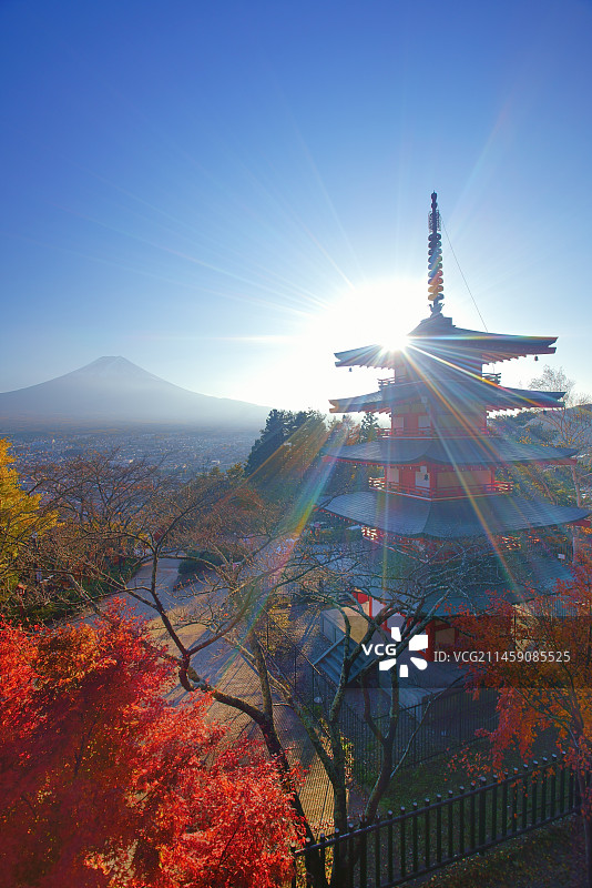 日本山梨县富士吉田市新仓山浅间公园五层宝塔，沐浴在午后阳光中，远眺富士山图片素材