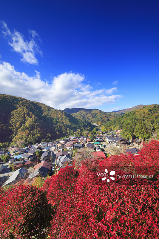 日本长野县下伊那郡阿智村观音山公园和清内路街道上的杜鹃秋叶图片素材