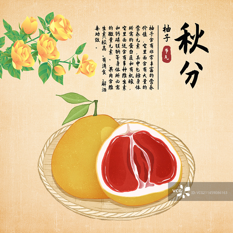 二十四节气秋分美食水果柚子插画模板海报图片素材