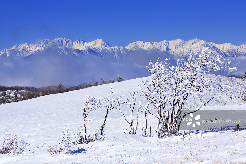 日本长野县穗高山脉和枪岳的冰霜雪原图片素材