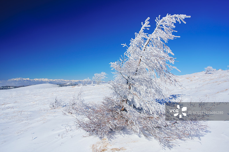 日本长野县雾凇雪原与穗高连峰远景图片素材