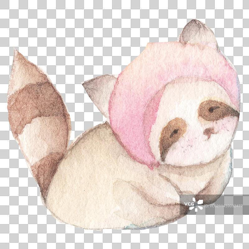 一只呆萌的水彩野生小浣熊小熊猫卡通动物形象图片素材