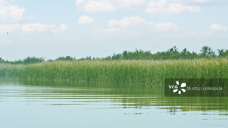 河北省衡水市“衡水湖”风光图片素材
