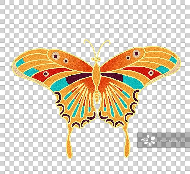 蝴蝶彩稿图片素材