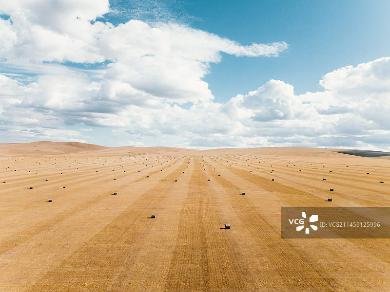 航拍秋日呼伦贝尔草原上的干草卷图片素材