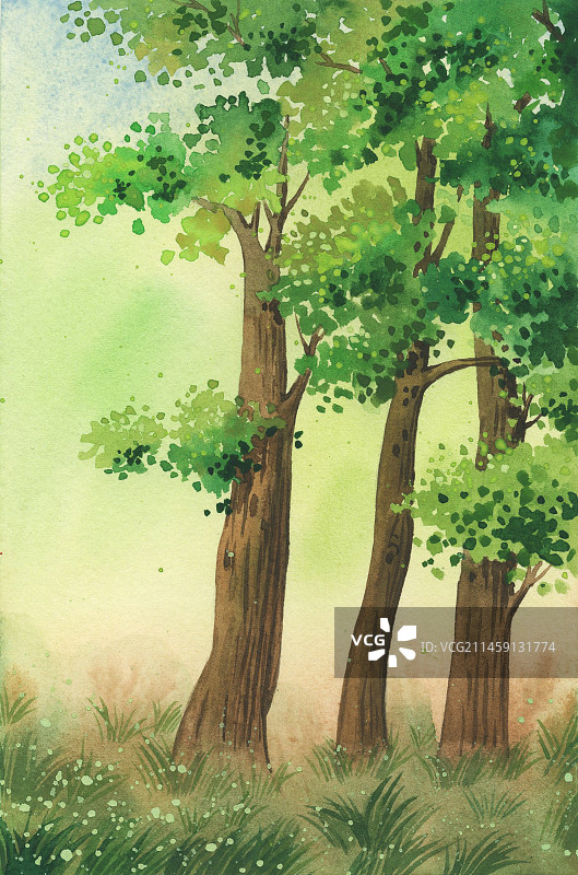 小树林图片素材