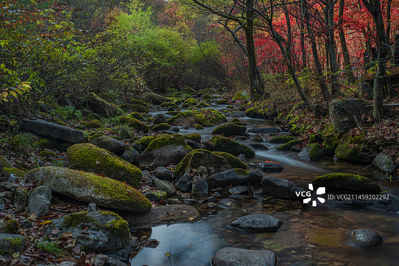 红枫季～本溪老边沟图片素材