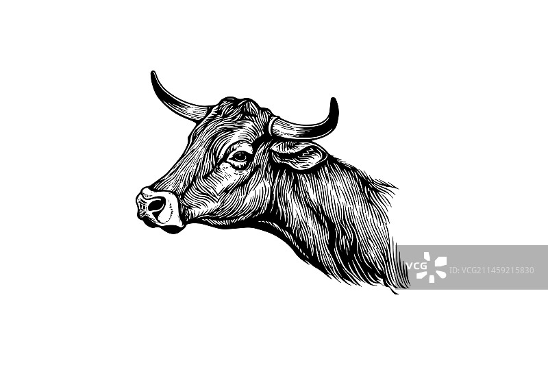 带角奶牛头雕刻风格标志图片素材