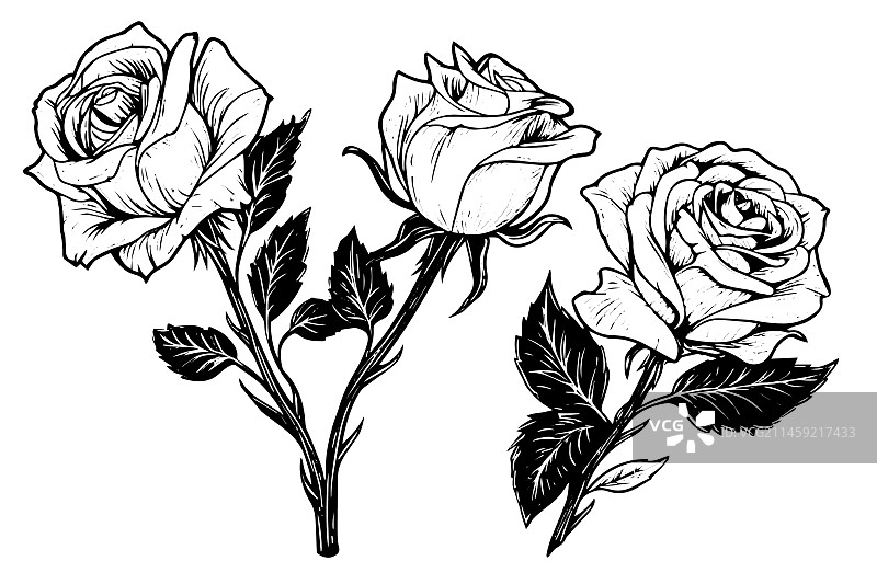 复古玫瑰花雕刻书法图片素材