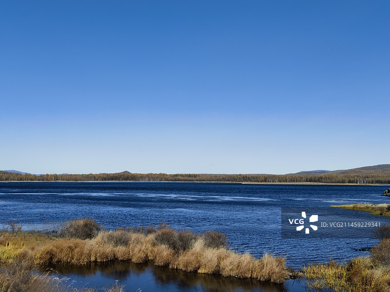 阿尔山杜鹃湖图片素材