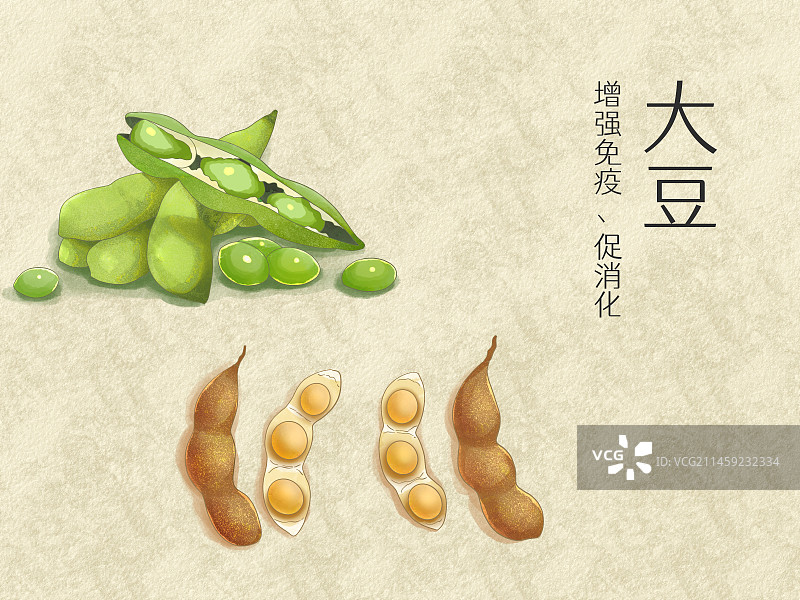 手绘水彩蔬菜大豆插画图片素材