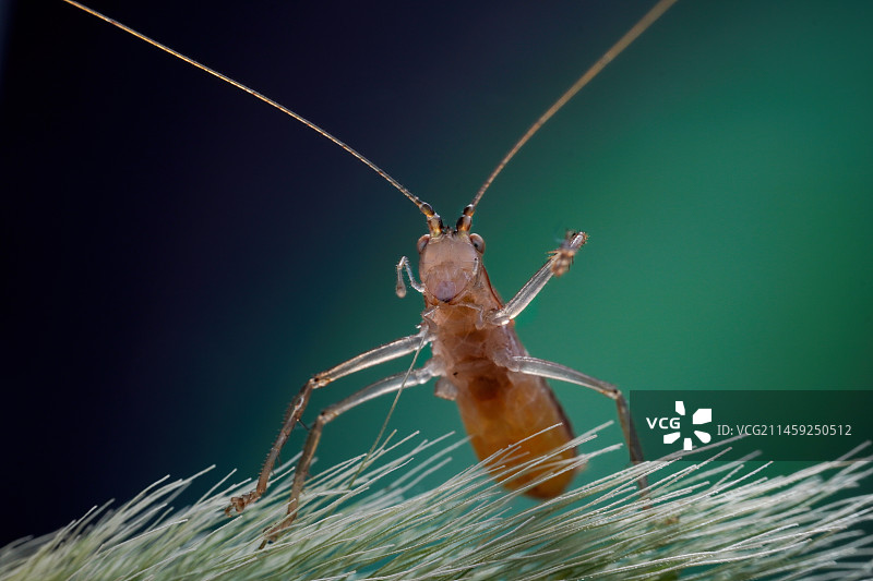 你好呀图片素材