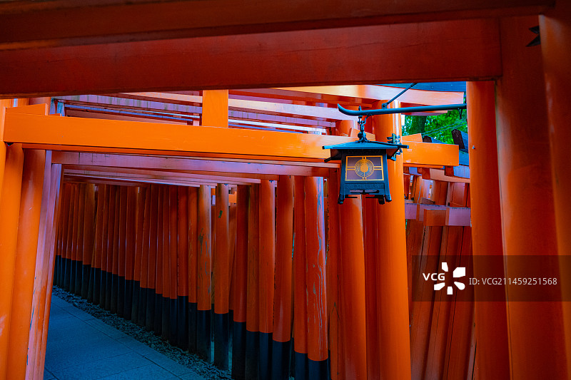 伏见稻荷 千鸟居图片素材