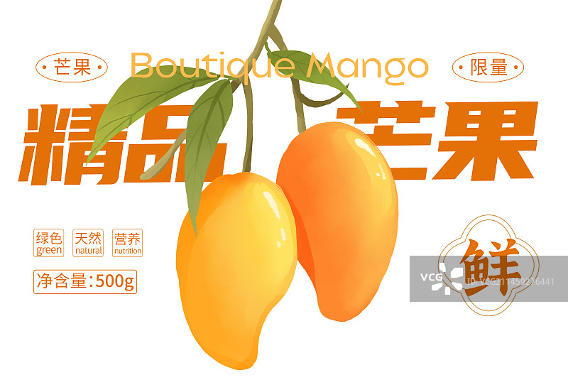 芒果包装手绘插画图片素材