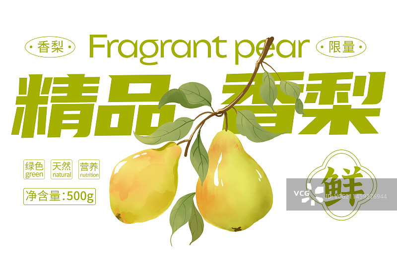 香梨包装手绘插画图片素材