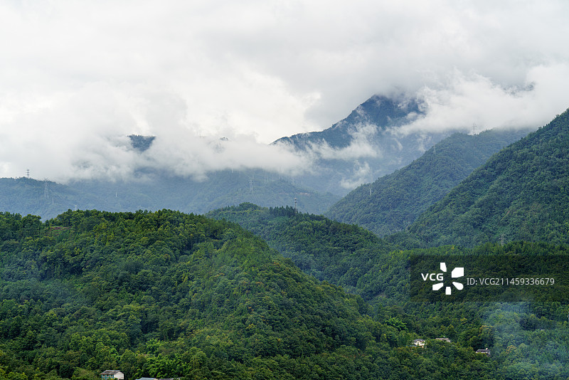 川西高山森林图片素材