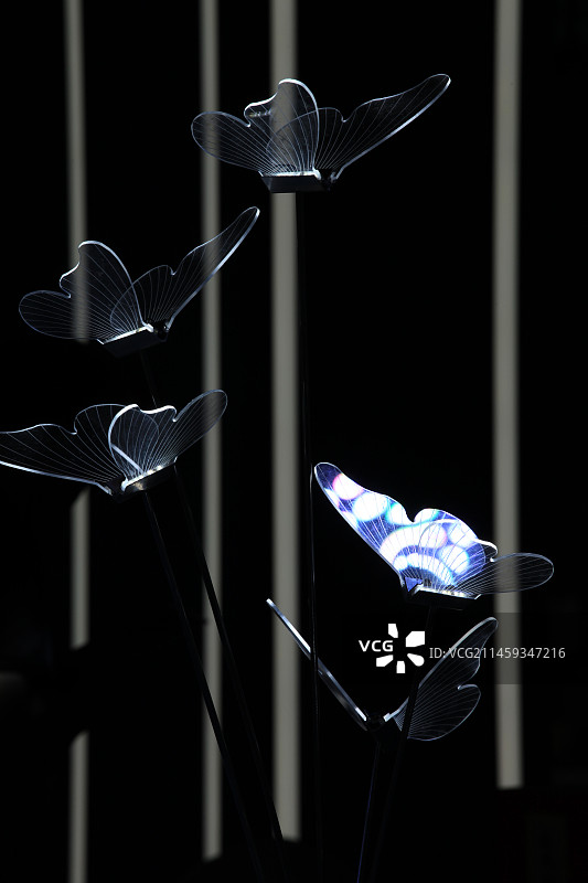 闪光蝴蝶造型图片素材