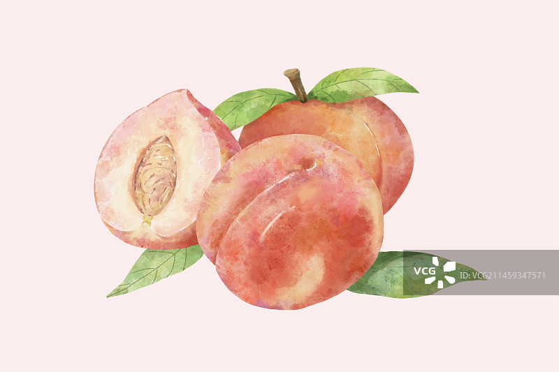 水蜜桃/桃子/仙桃/蜜桃包装插画素材图片素材