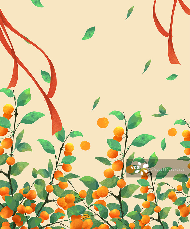 橘子树图片素材