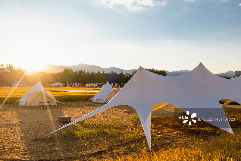 金秋十月金黄色的稻田里面的露营帐篷图片素材