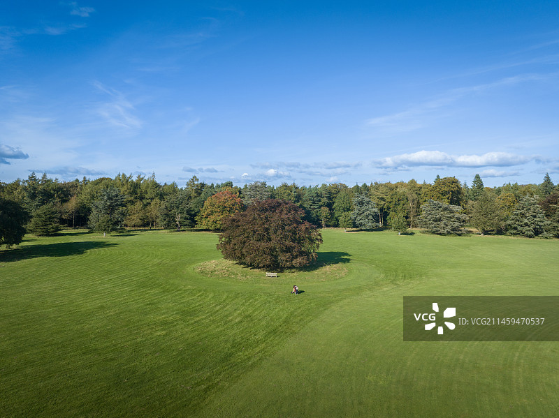 英国唐顿庄园航拍图片素材