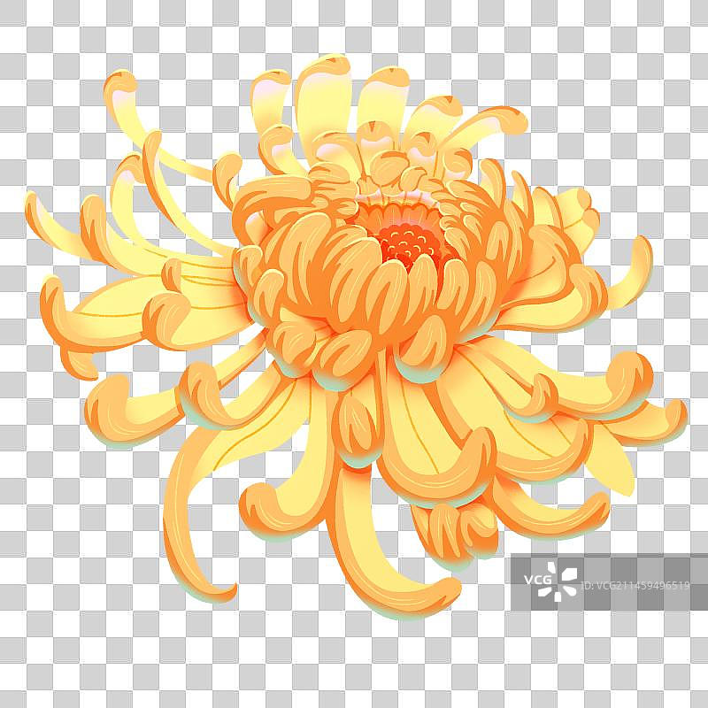 单朵菊花免抠元素图片素材