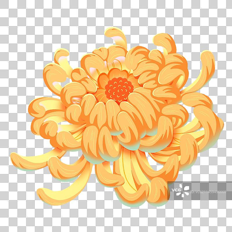 单朵菊花免抠元素图片素材