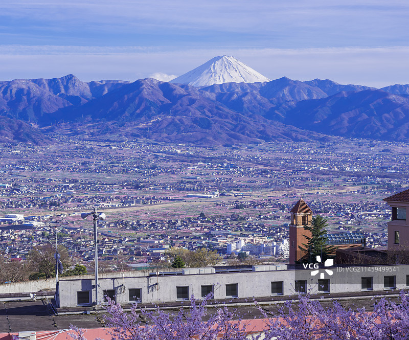 山梨县风光：笛吹川水果公园的樱花与甲府盆地，远眺富士山图片素材
