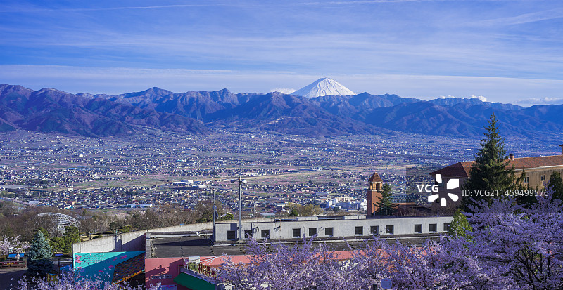 山梨县风光：笛吹川水果公园的樱花与甲府盆地，远眺富士山图片素材