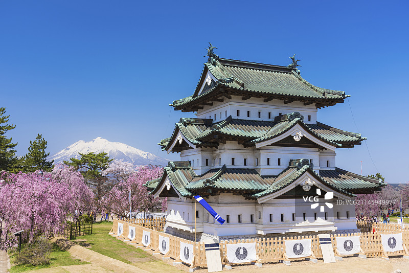 日本青森县弘前城与山的樱花图片素材