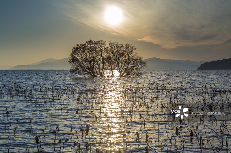 日本滋贺县湖北町的日落图片素材