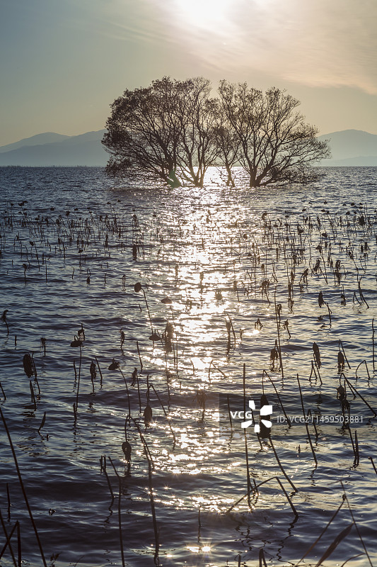 日本滋贺县湖北町的日落图片素材