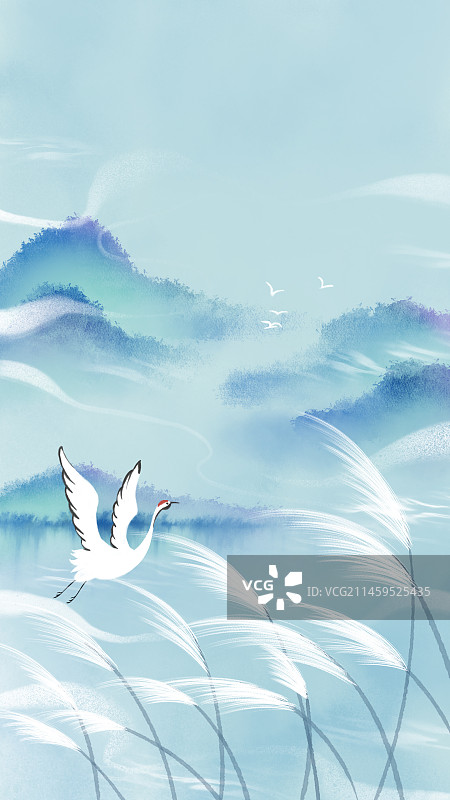 白鹤风景图图片素材