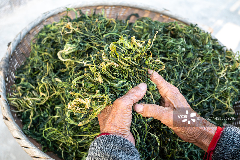 农家晾晒盐菜梅干菜雪里红图片素材