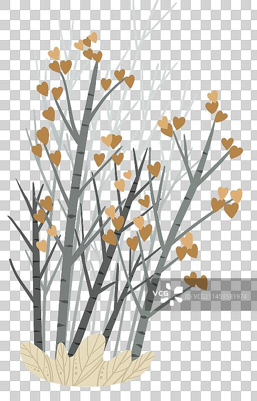 一片白桦林图片素材