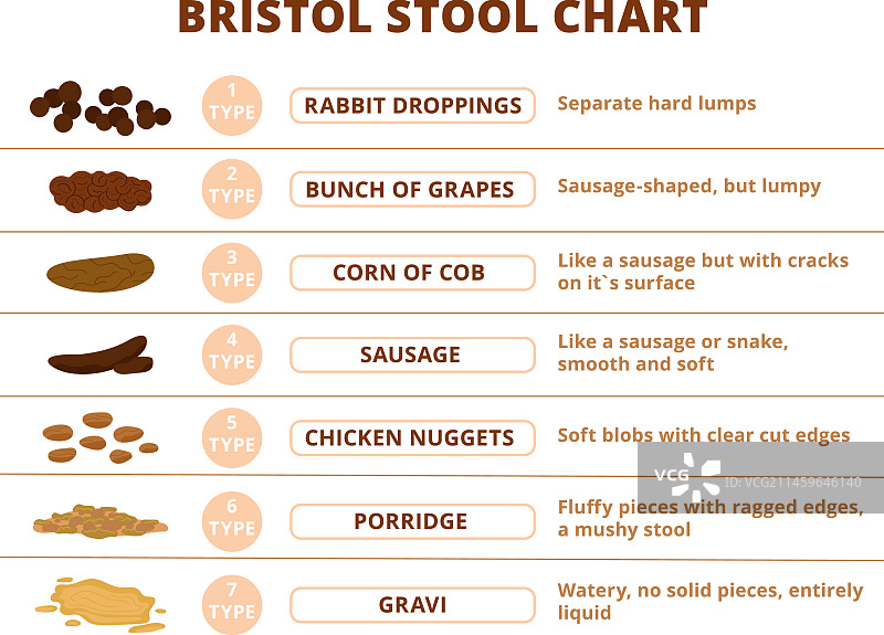 布里斯托大便性状信息图图片素材