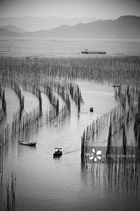 回家（福建沙江S弯）图片素材