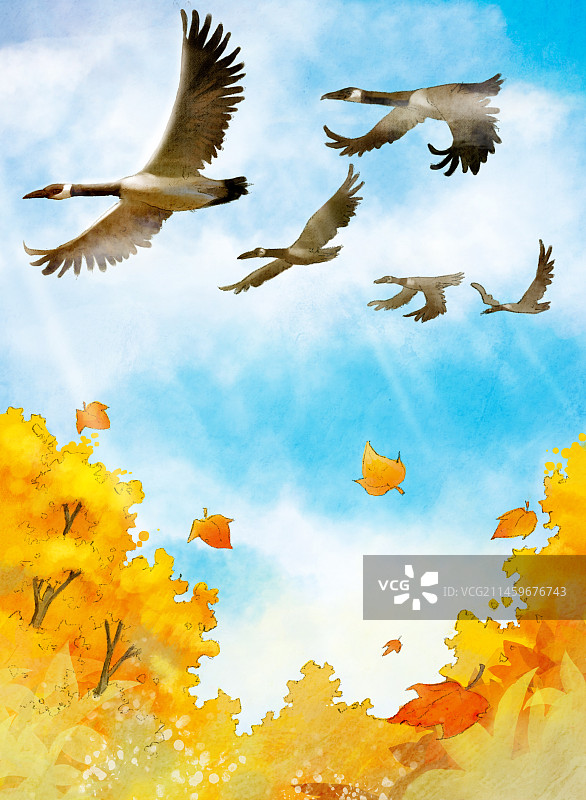 雁南飞图片素材