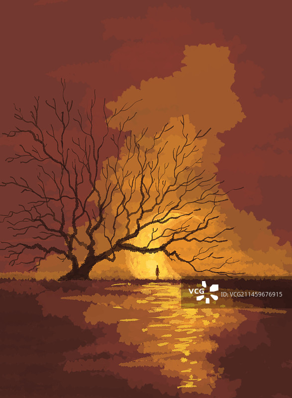 大树倒影光插画图片素材