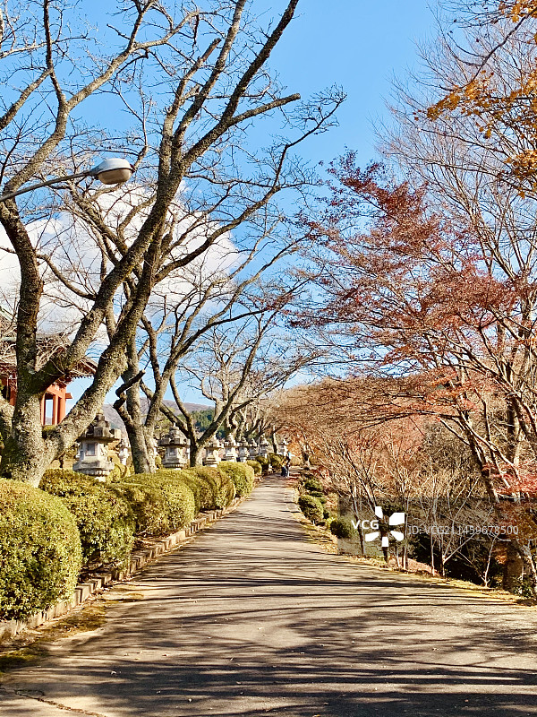 日本御殿场市和平公园图片素材