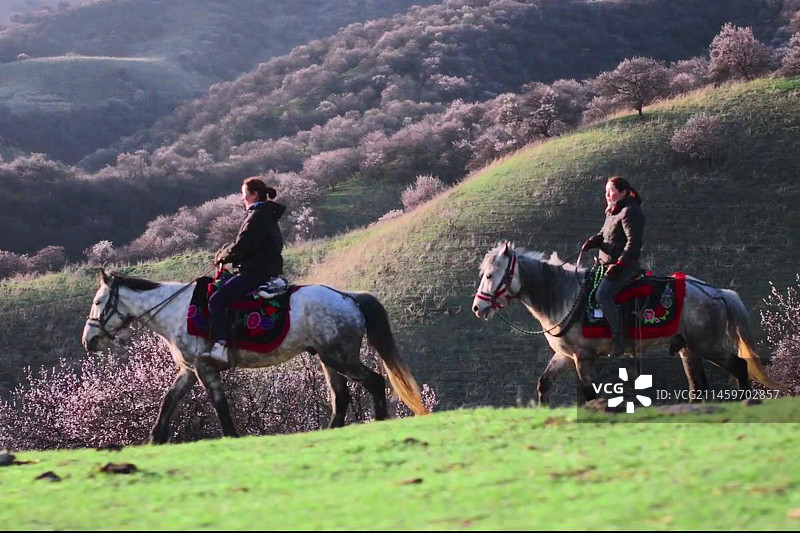 阳光下两个人在草原上骑马图片素材